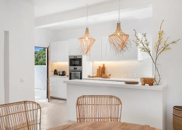 Bini Ezolea * 比尼贝卡